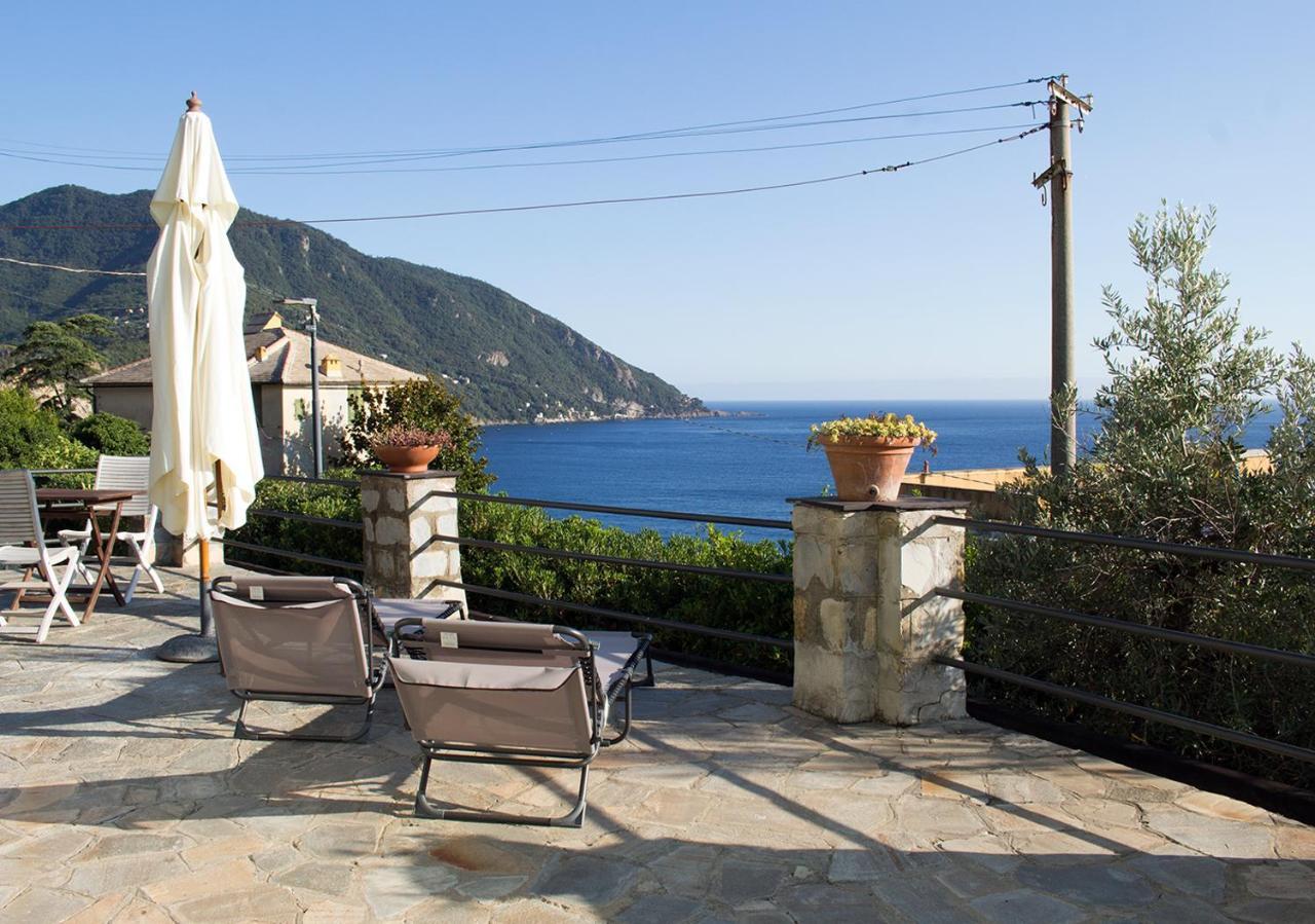 كامولّي La Conchiglia Bed & Breakfast المظهر الخارجي الصورة