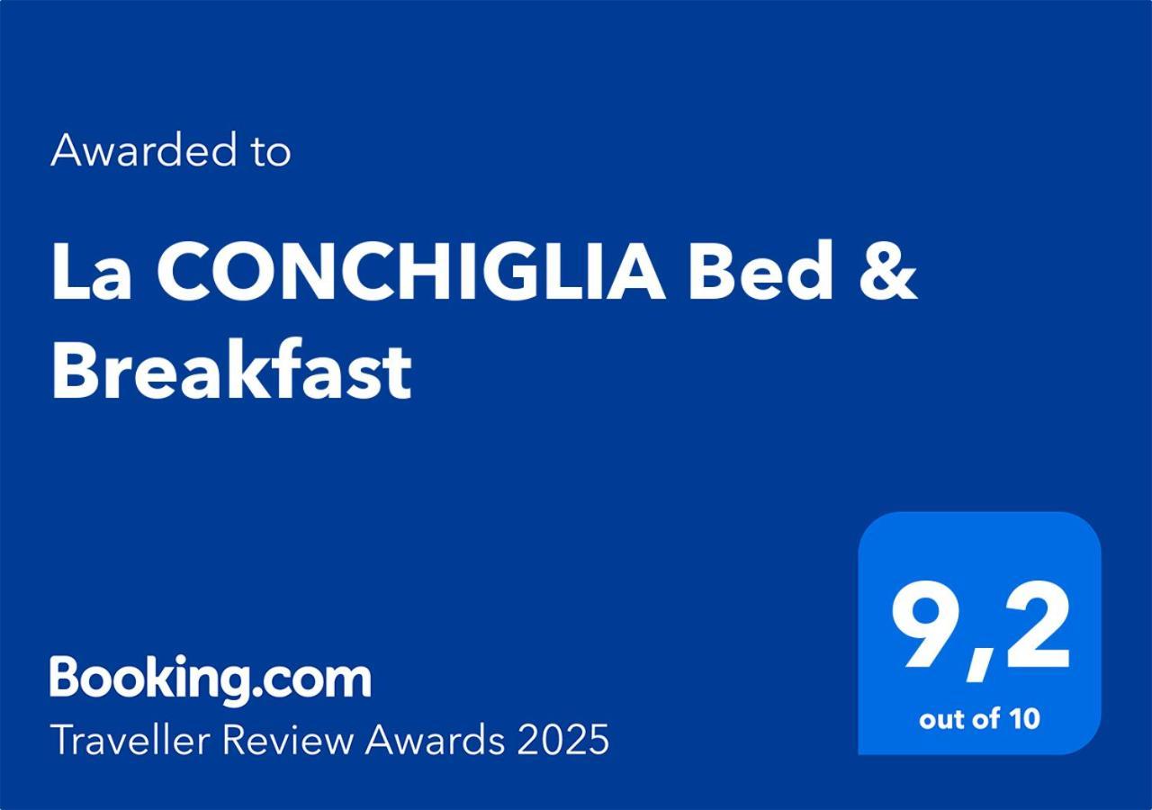 كامولّي La Conchiglia Bed & Breakfast المظهر الخارجي الصورة
